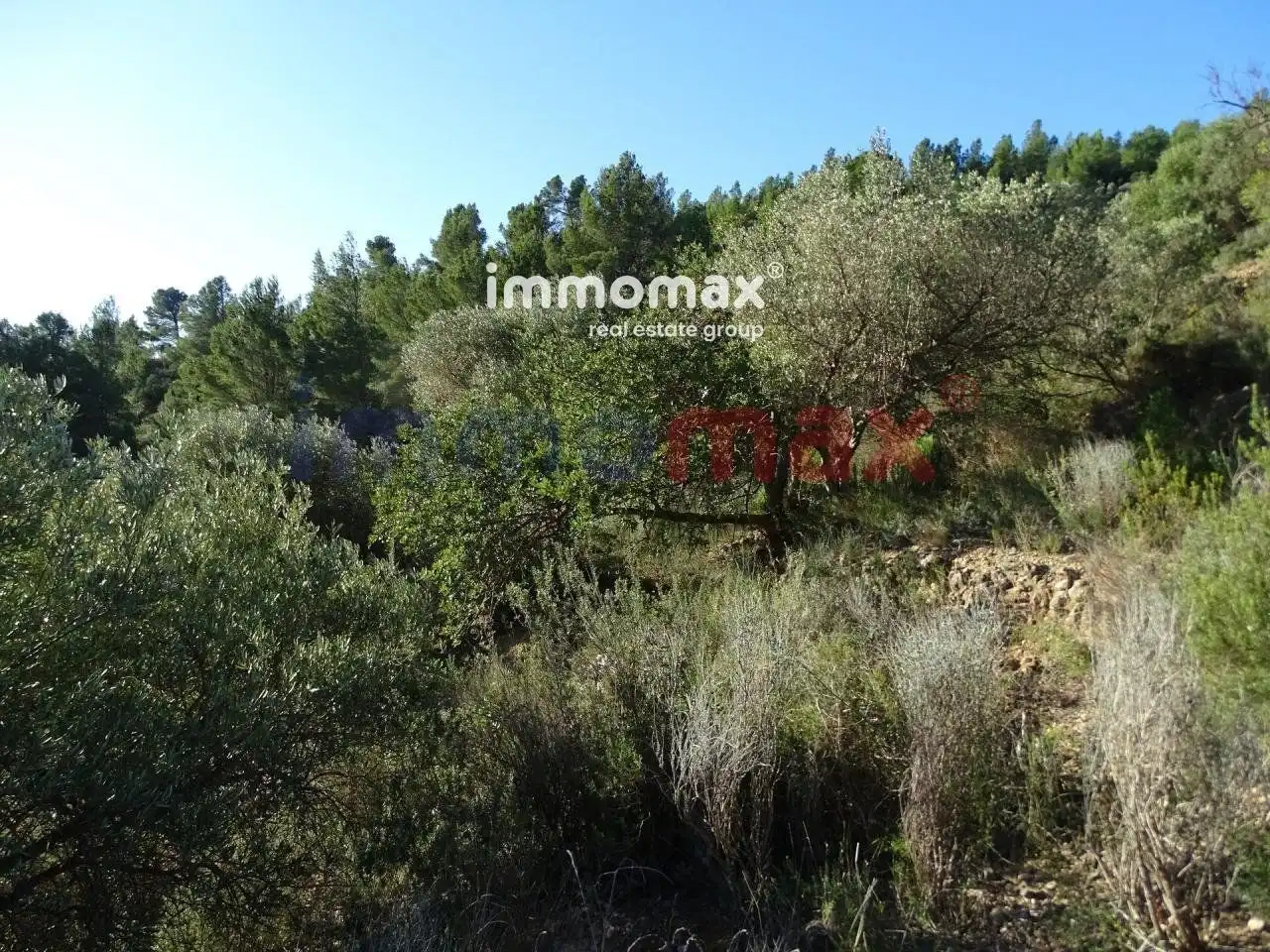 Terrain résidentiel à vendre à 16, imagen 9