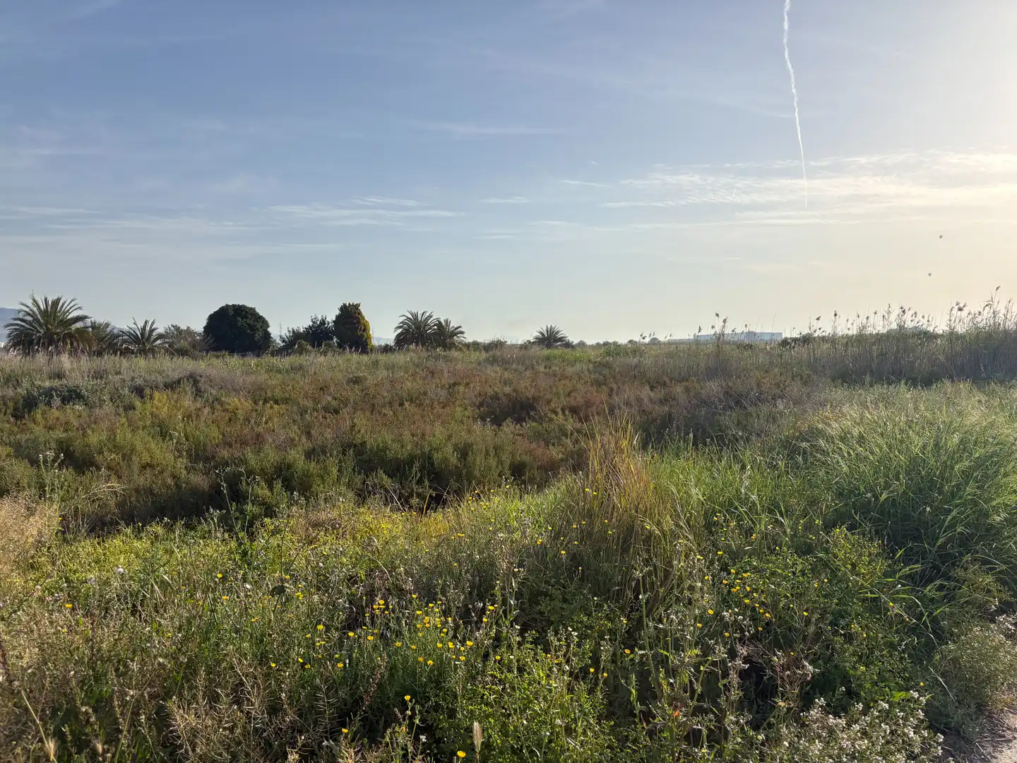 Terreno rustico in vendita a Granja de Rocamora, imagen 6
