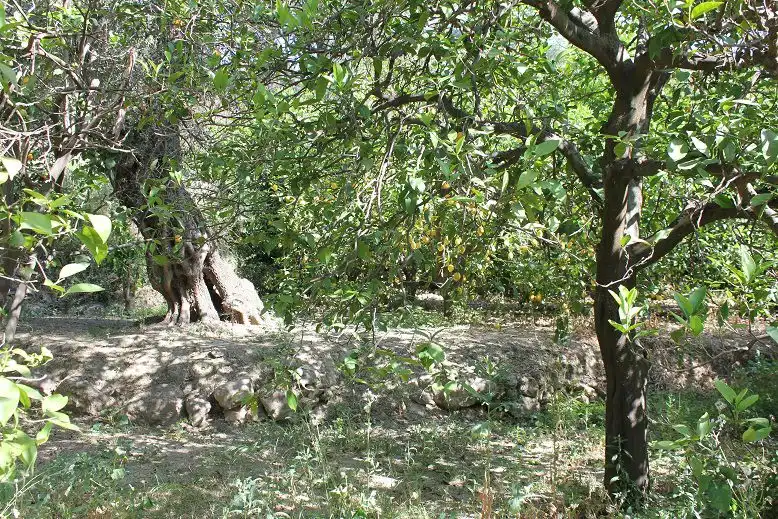 Terreni e lotti in vendita a Andalucía, imagen 14