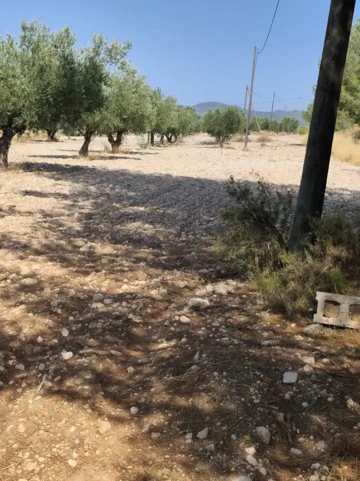 Terreno rustico in vendita a Castalla, imagen 27