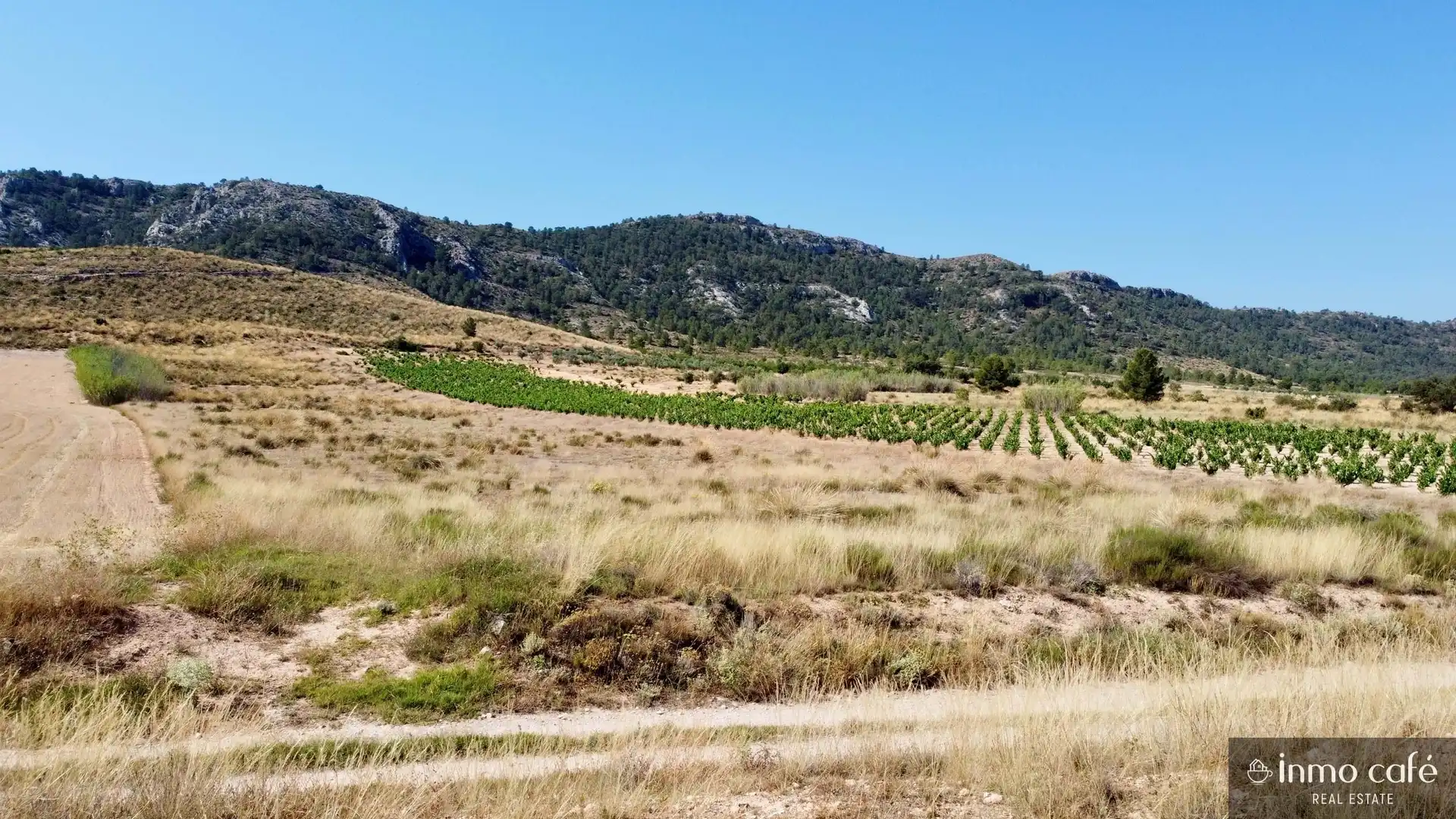 Terreno rustico in vendita a Parcela  CABEZO POLI., imagen 13