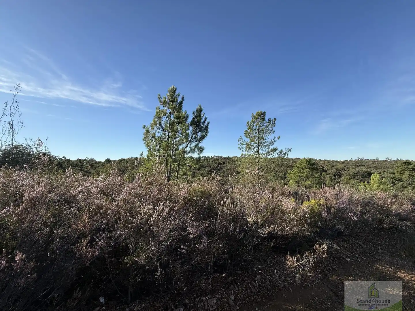 Residencial en venda en Berrocal