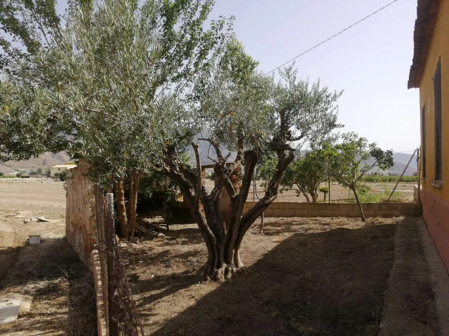Jardí de Casa o xalet en venda en Orihuela