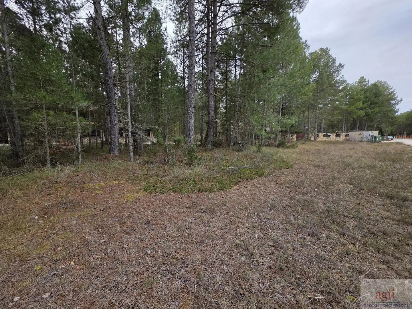 Terrain résidentiel à vendre à Trillo, imagen 3