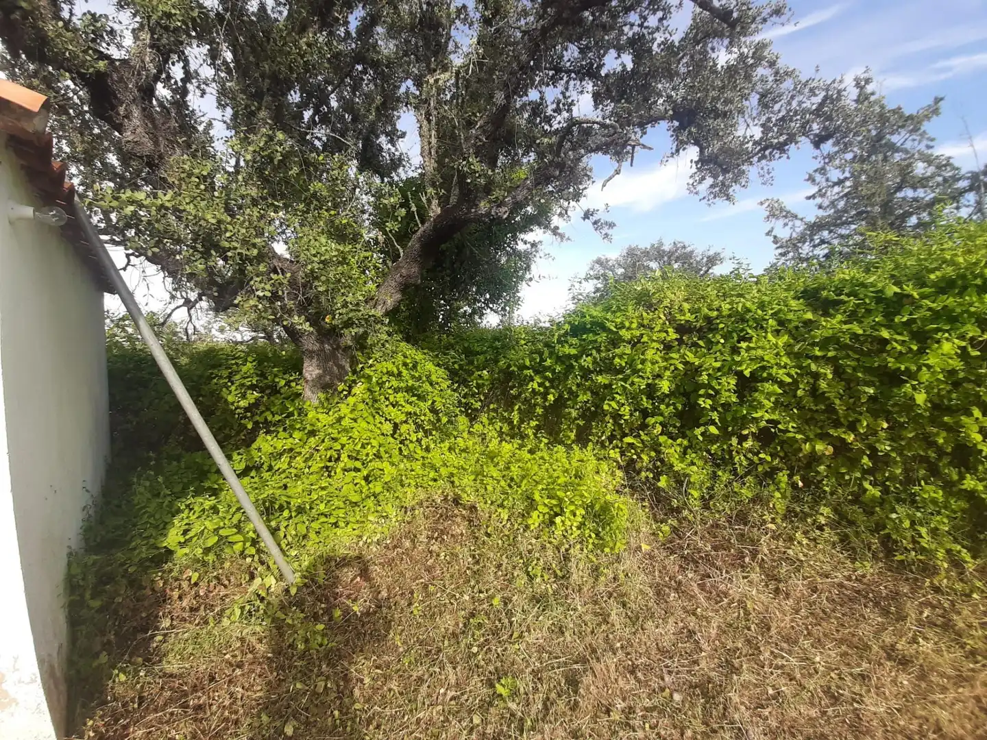 Casa o xalet en venda en Cáceres amb Calefacció, Jardí privat i Terrassa
