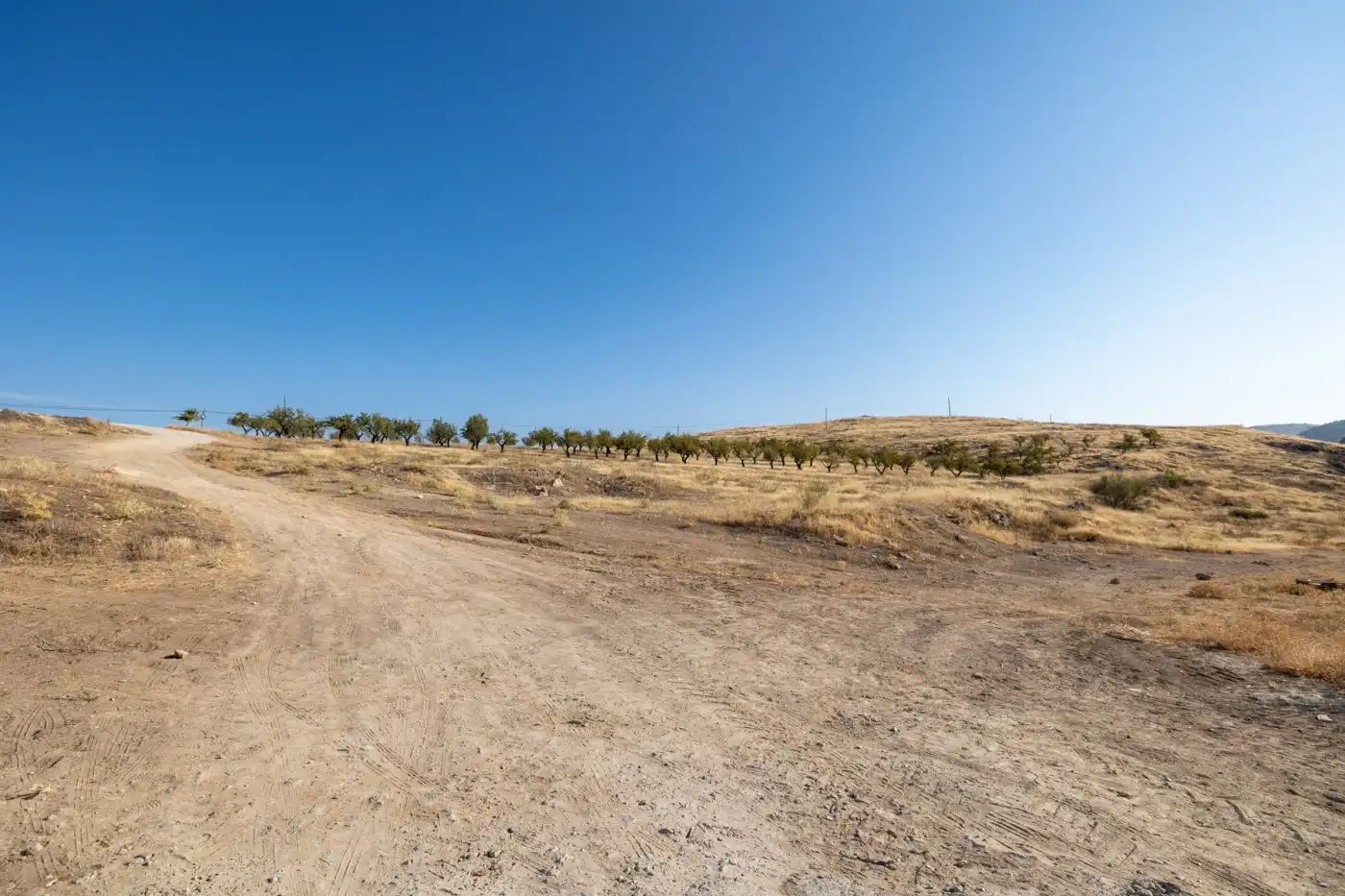 Terreny residencial en venda a Alhama de Granada, imagen 5