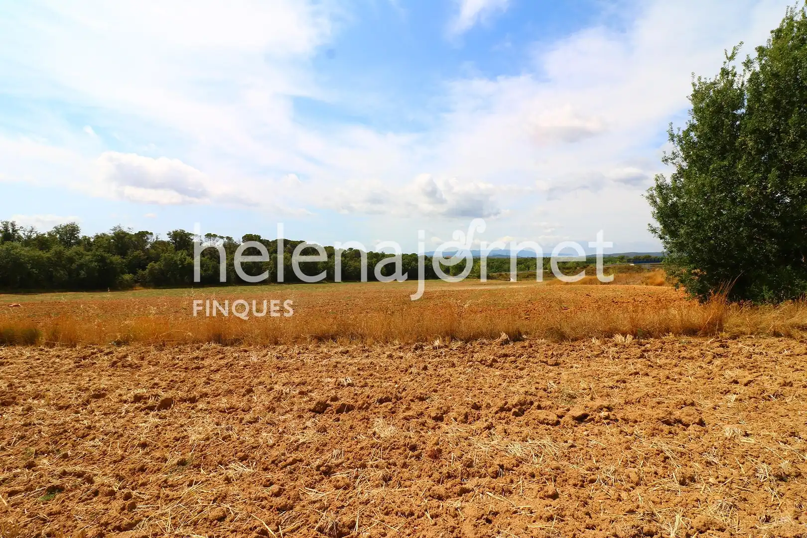 Finca rústica en venda en Sils