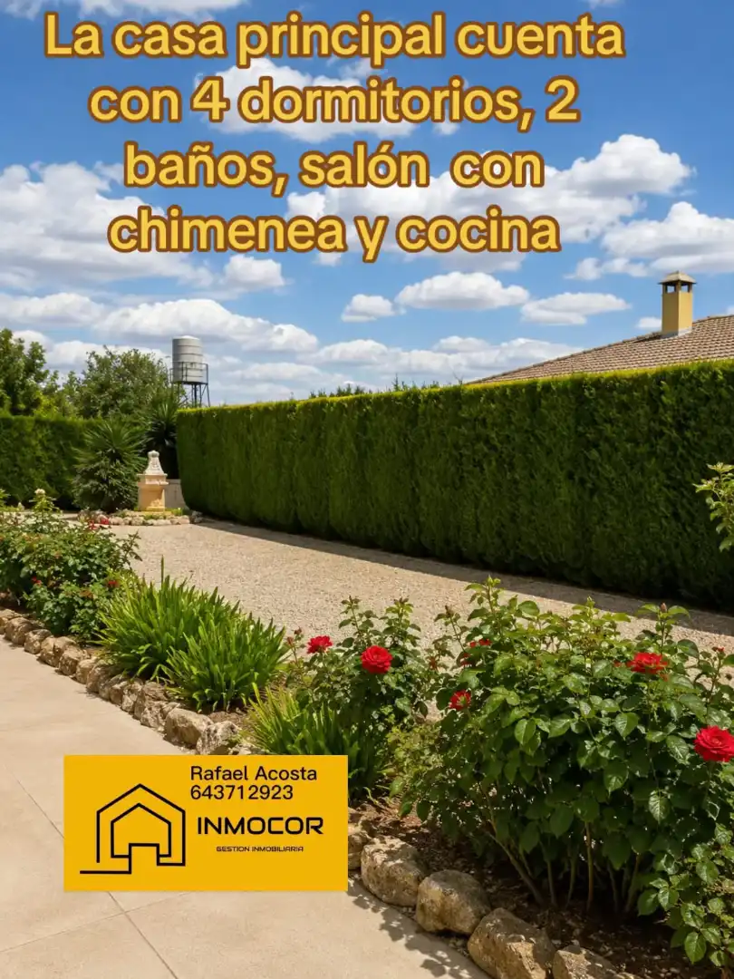 Casa amb piscina en venda a Calle Los Chopos, imagen 5