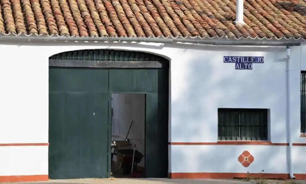 Casa rústica en venda a Algodonales, imagen 9