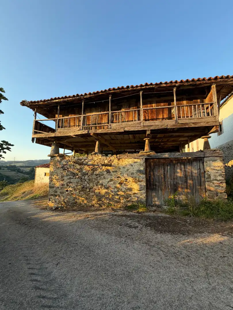 Rural land for sale in Tineo, imagen 5