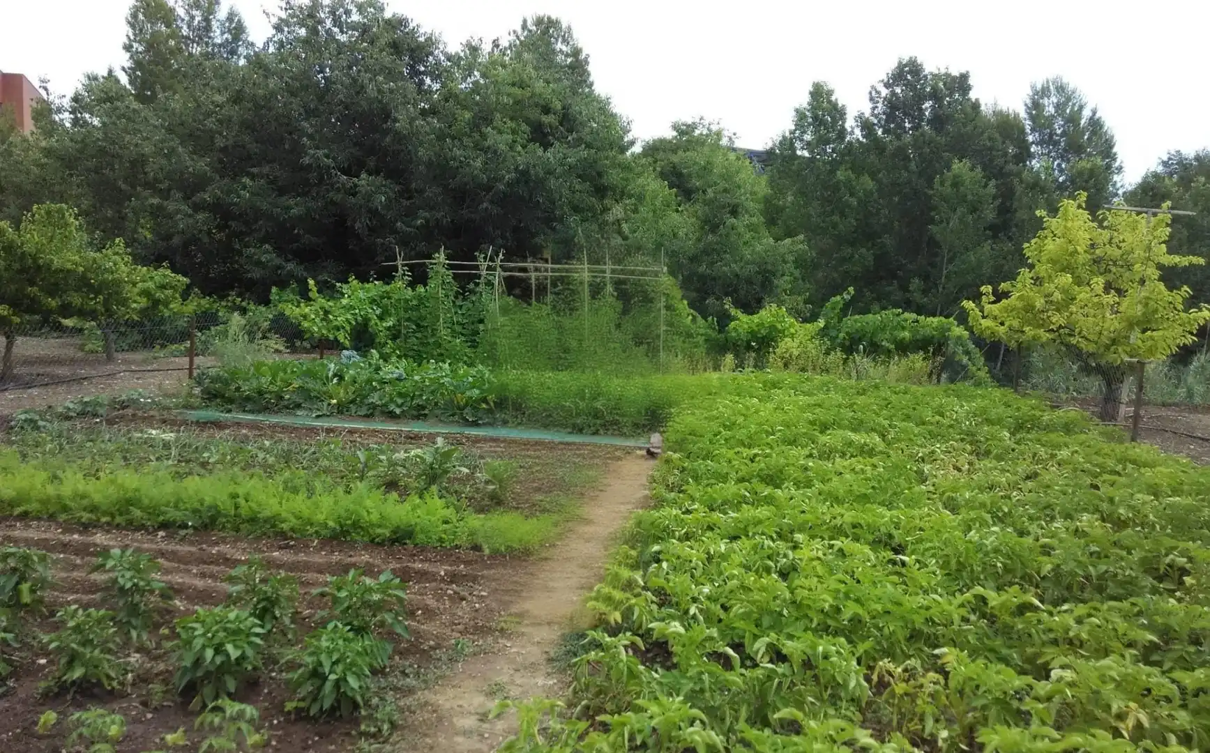 Garten von Country house zum Verkauf in Valls mit Alarm