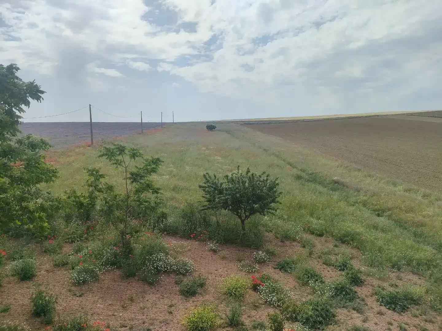 Finca rústica en venda en Morales del Vino amb Jardí privat i Balcó