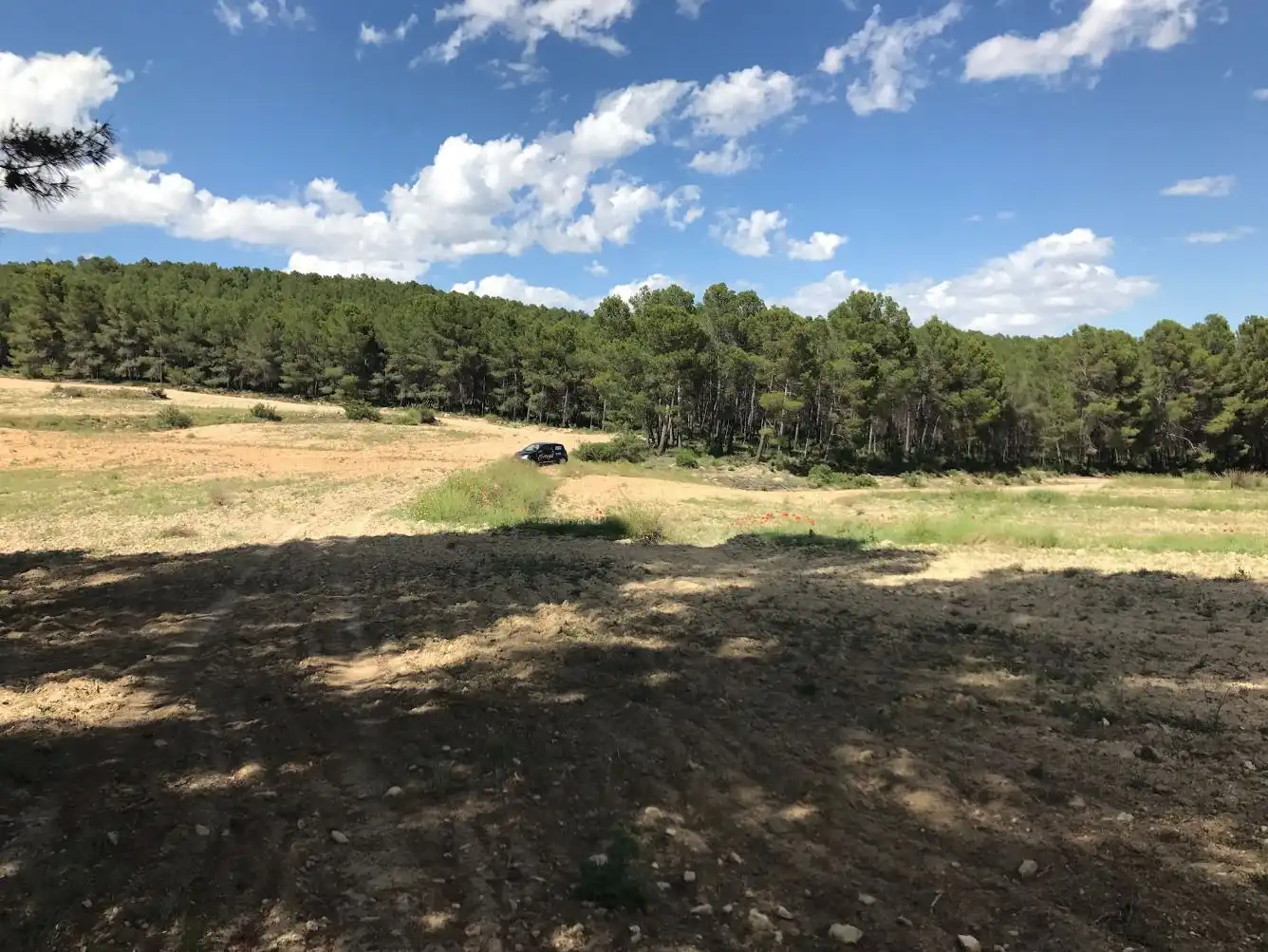 Terreny rústic en venda a Caravaca de la Cruz, imagen 13