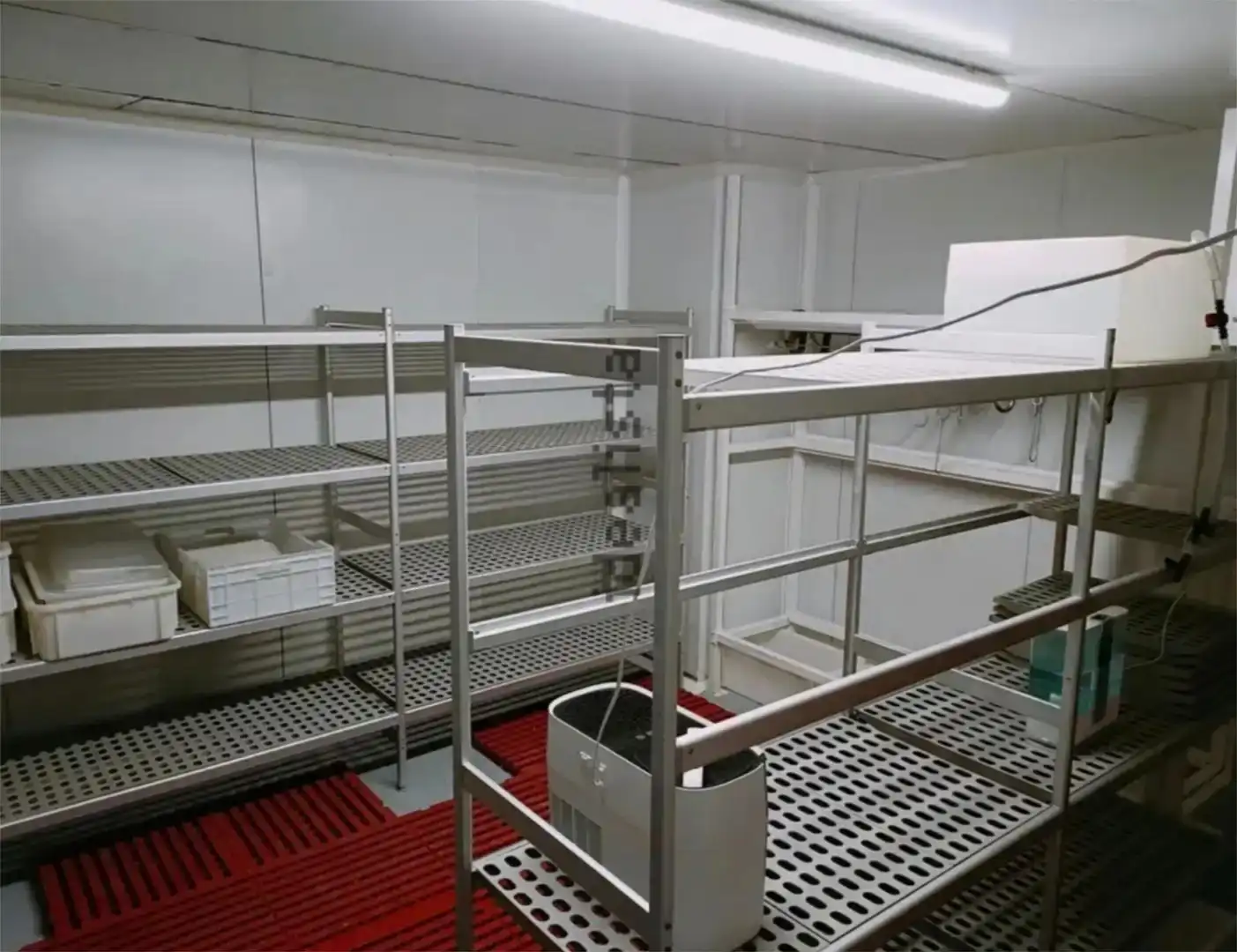 Geschaftsraum zur Miete in Santa Lucía