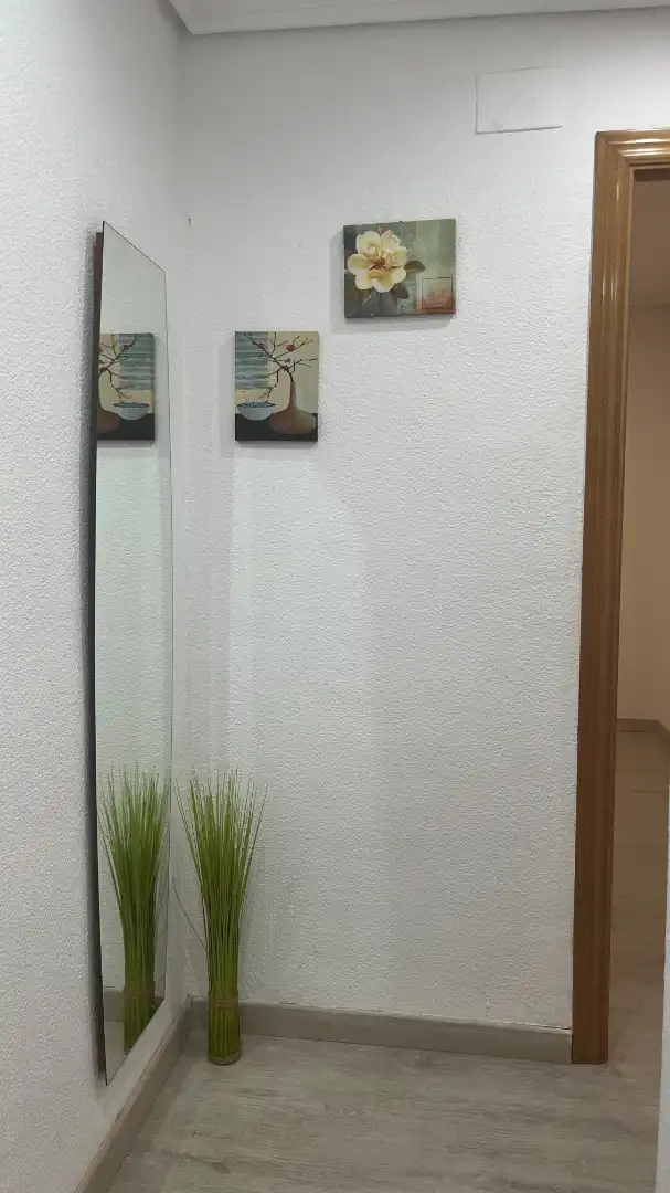 Jardí de Pis en venda en Valencia amb Aire condicionat, Parquet i Terrassa