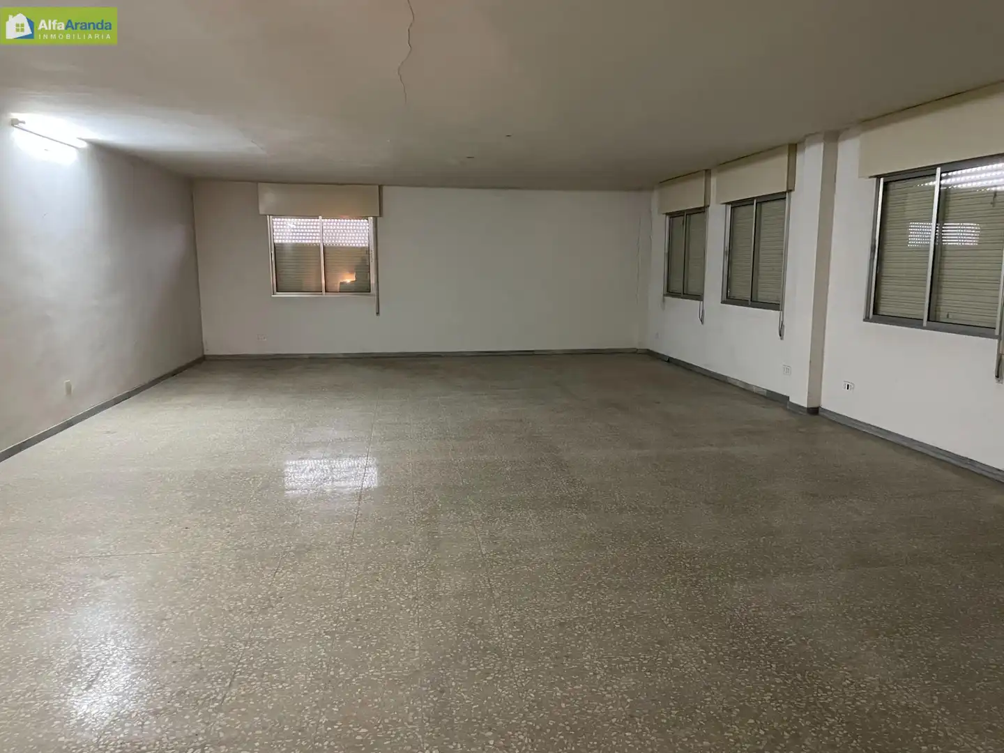 Industrial buildings for sale in Allendeduero