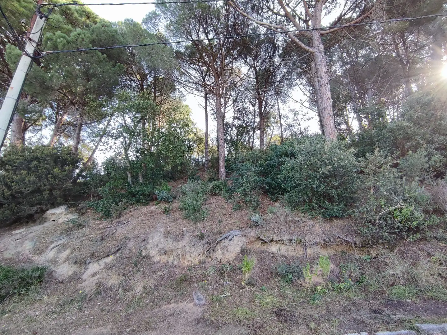 Terreno residencial en venta en Carrer dels Pirineus, imagen 2
