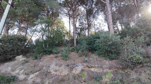 Foto 2 de Residencial en venta en Carrer Dels Pirineus, Roca Grossa, Lloret de Mar