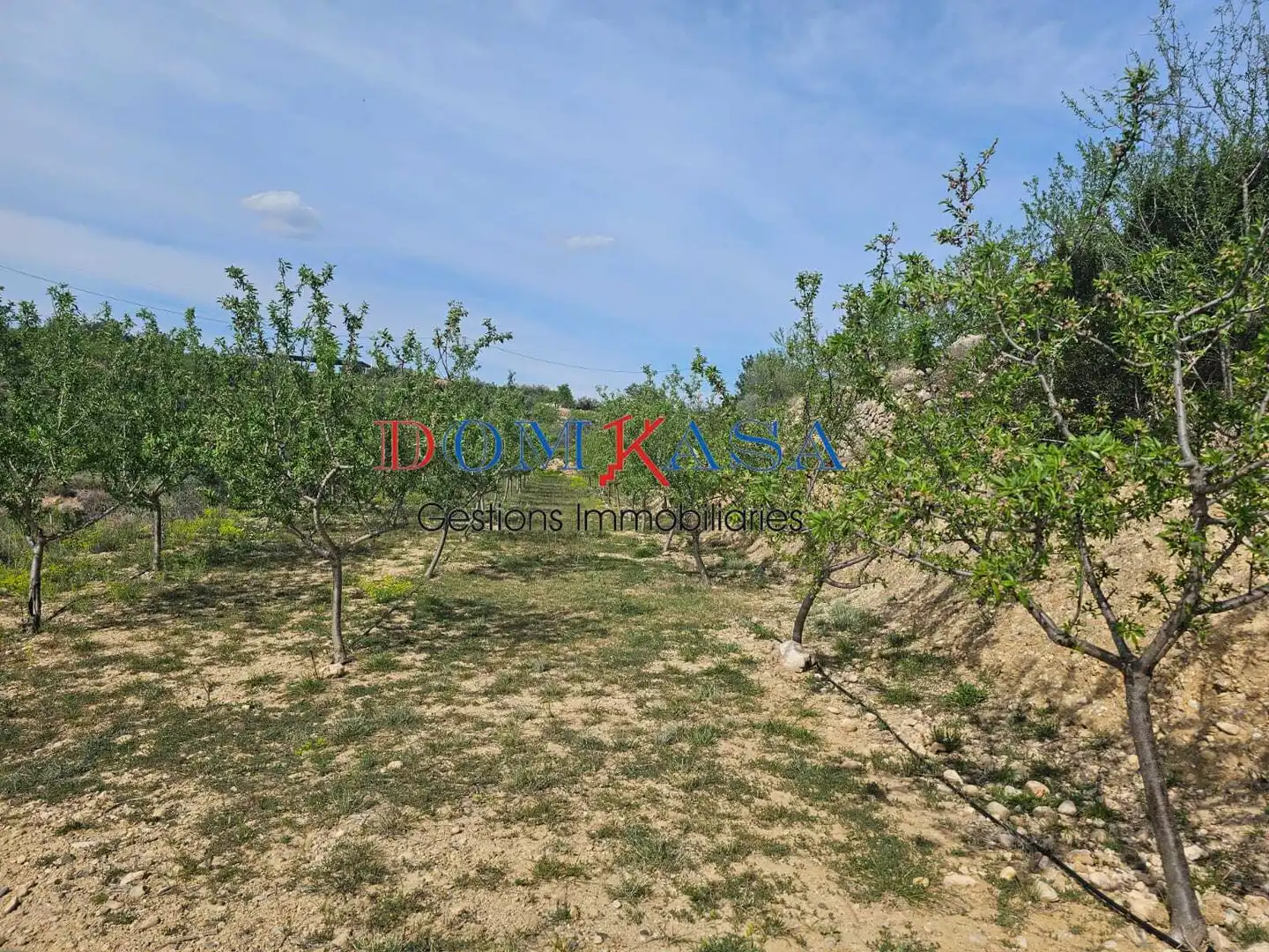 Industrial buildings for sale in Xerta