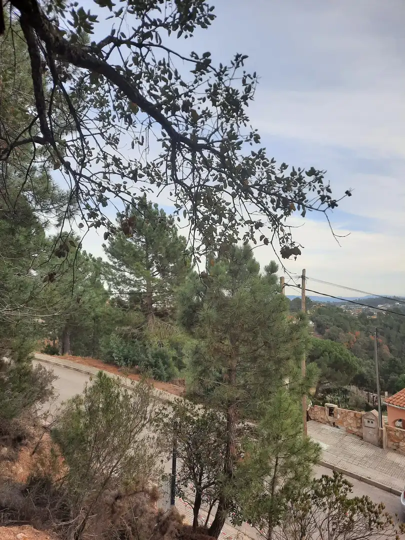 Residencial en venda en Riudarenes