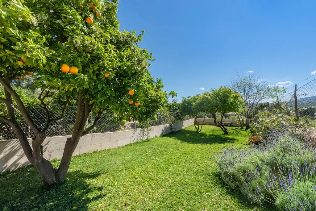 Casa rústica amb piscina en venda a Campanet, imagen 9