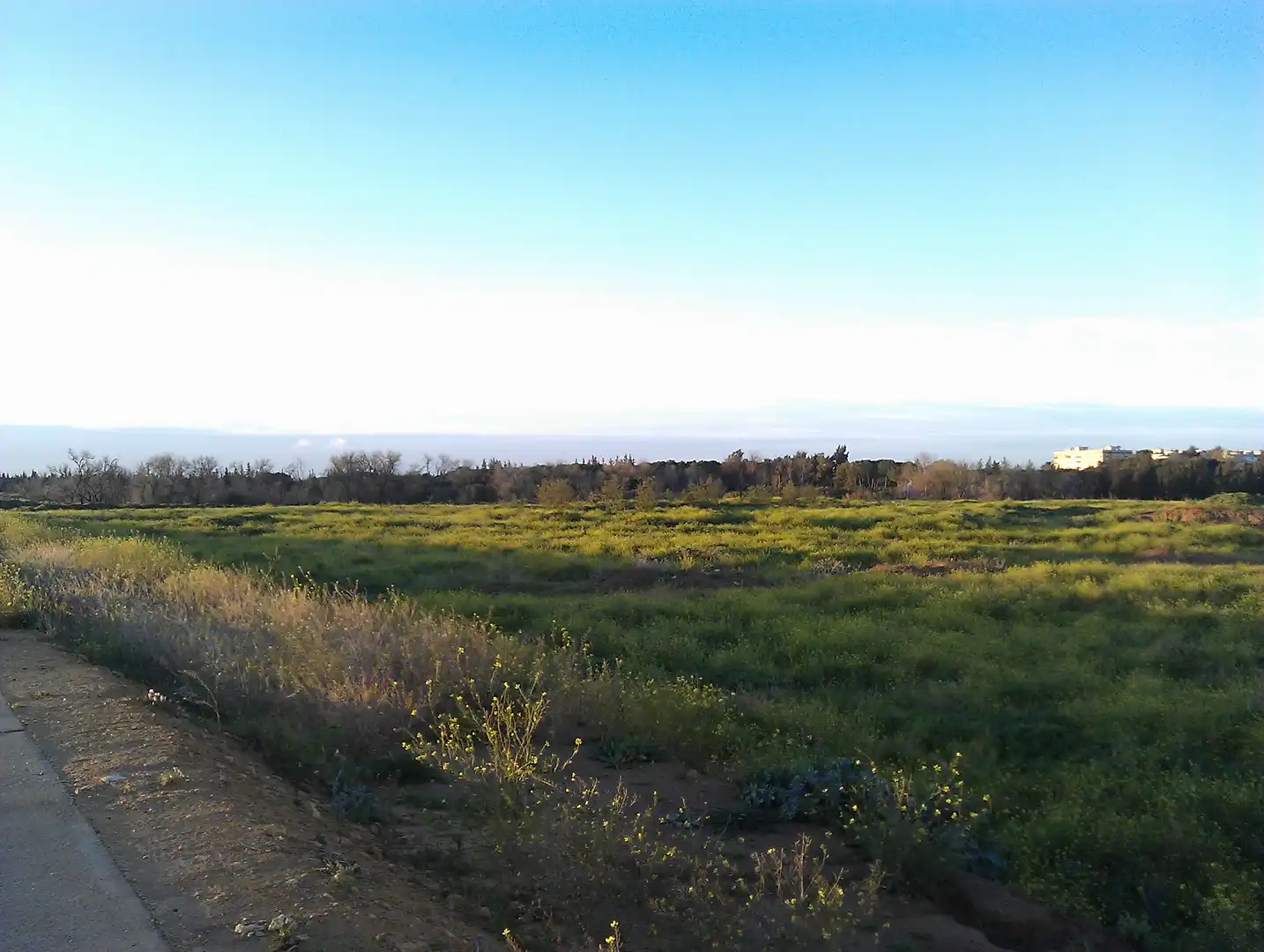 Land for sale in Sevilla