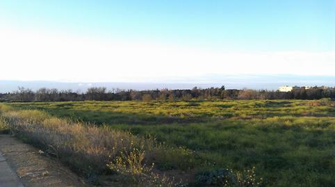 Foto 4 de Terreno en venta en Ptda. Santa Bárbara Sector Suo-de01, Colores -  Entreparques, Sevilla