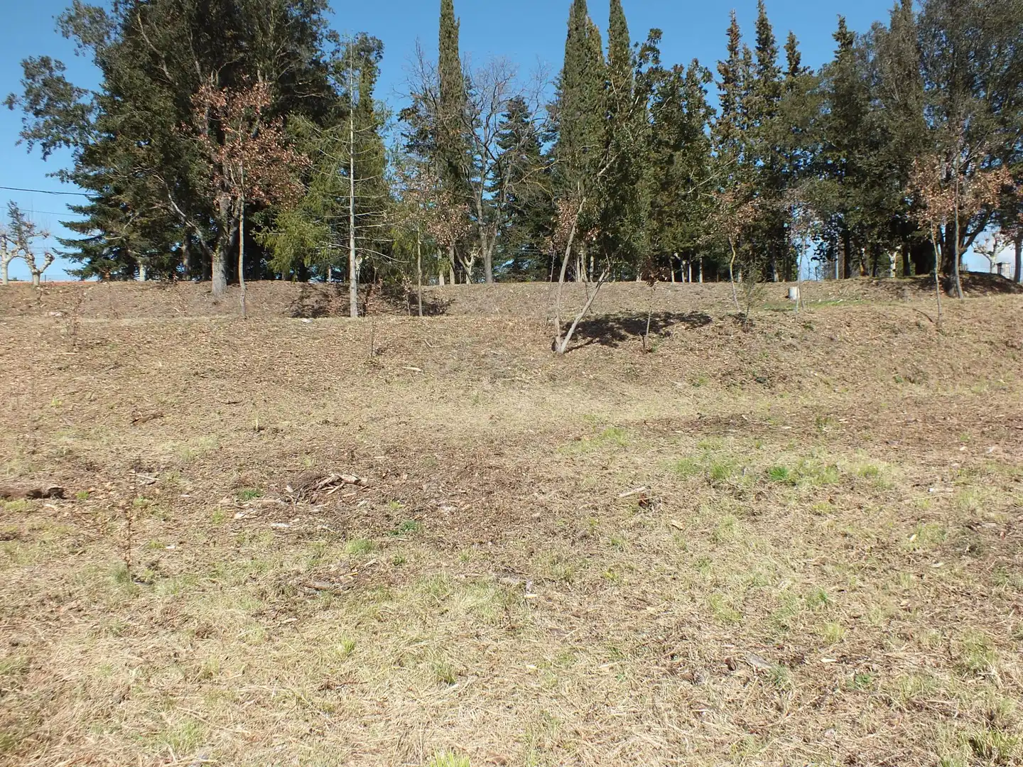 Terreny residencial en venda a Viladrau, imagen 6
