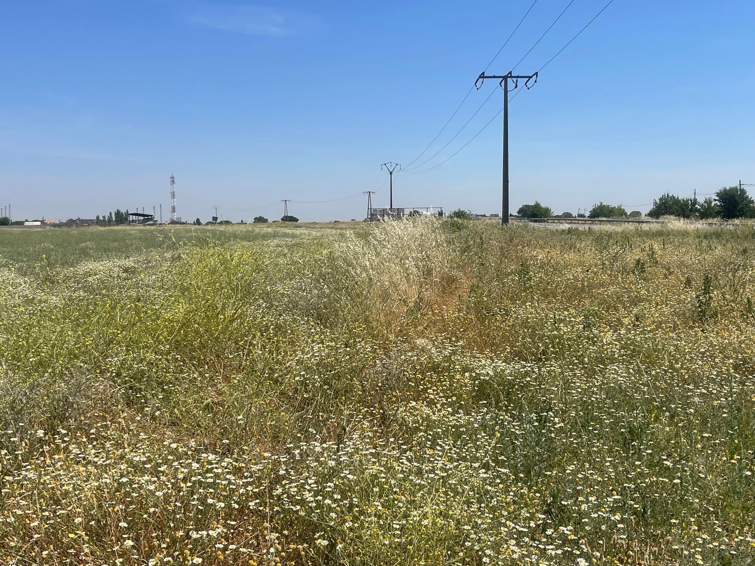 Land for sale in Cubas de la Sagra