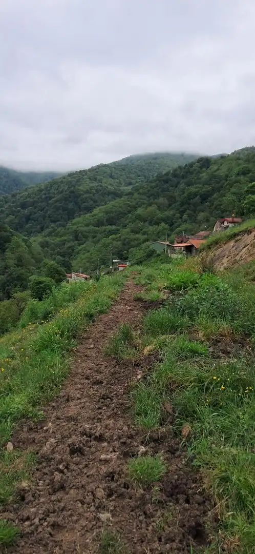 Lands and plots for sale in Lena, imagen 16