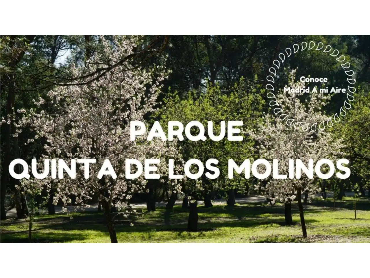 Aparcament de Oficina de lloguer en Madrid amb Alarma