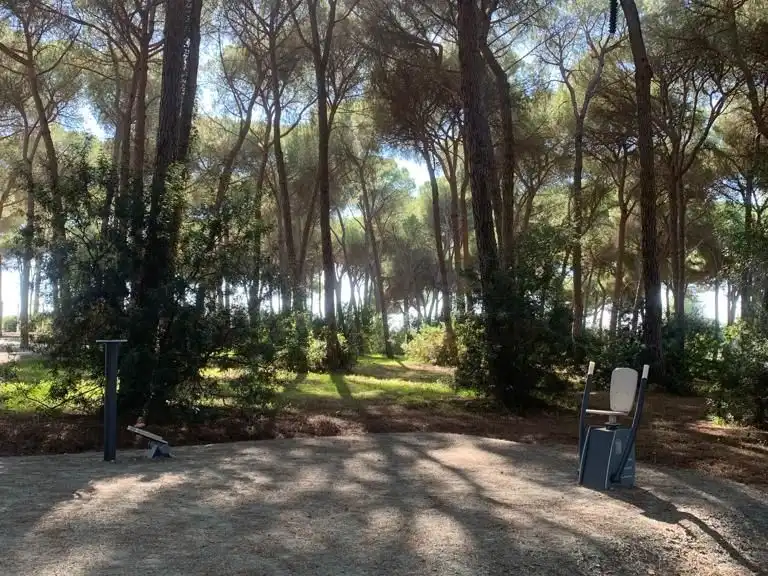 Jardín de Casa o chalet de alquiler en Bollullos de la Mitación, Sevilla