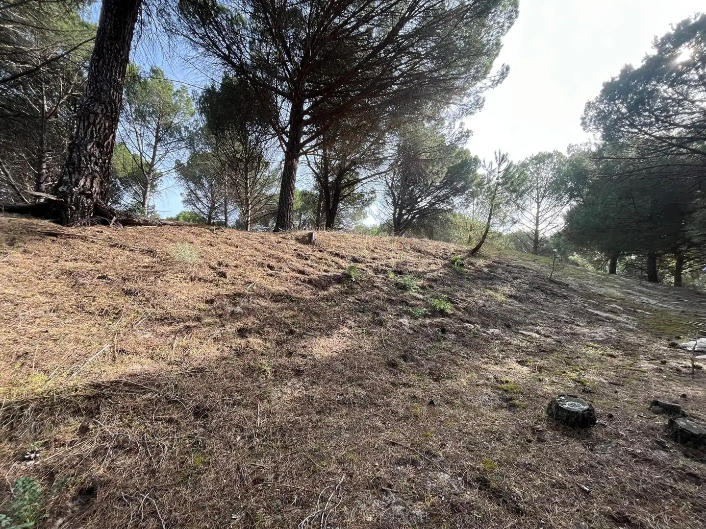 Terreno en venta en Tudela de Duero