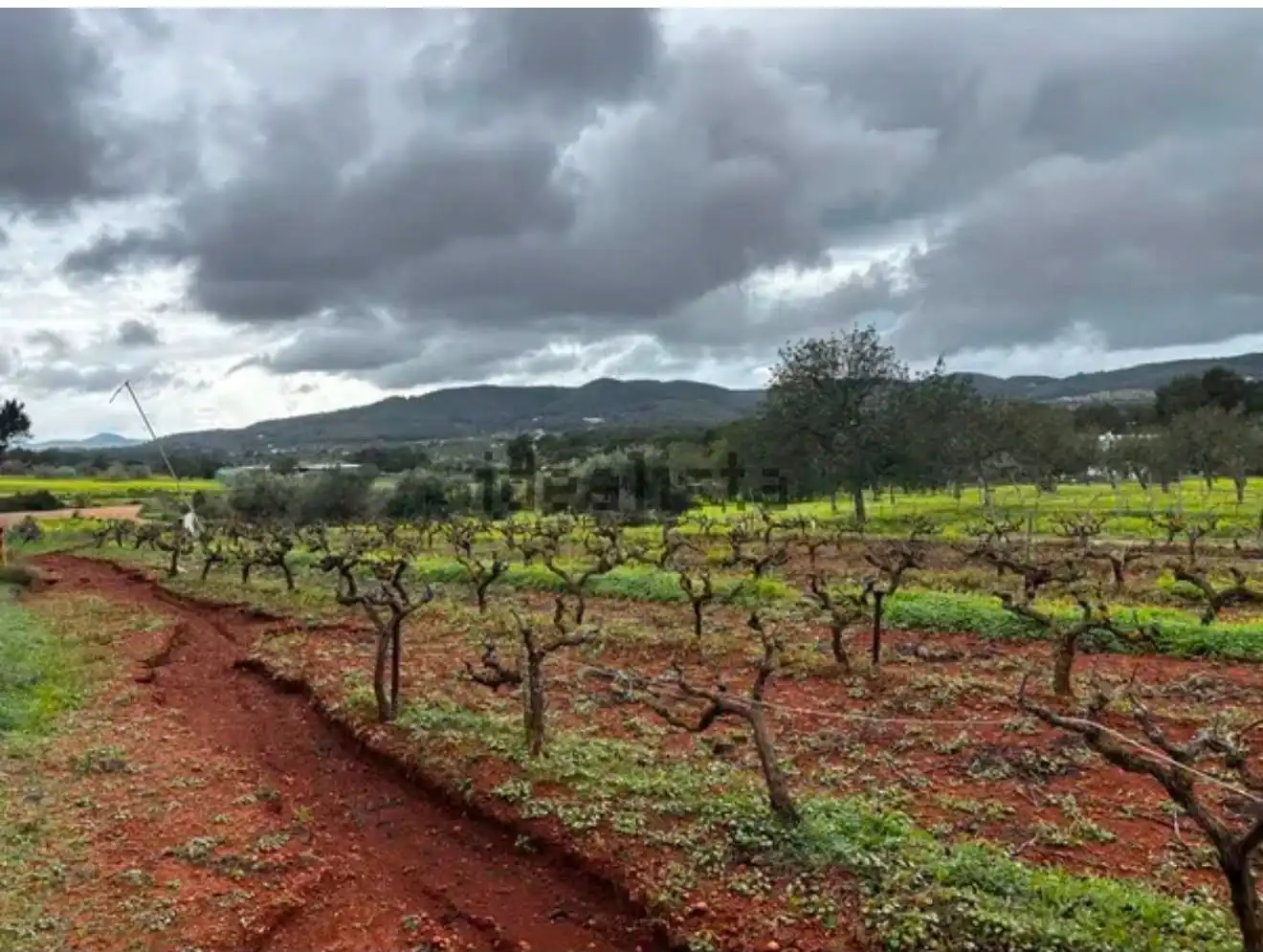 Terreno en venta en Santa Eulària des Riu