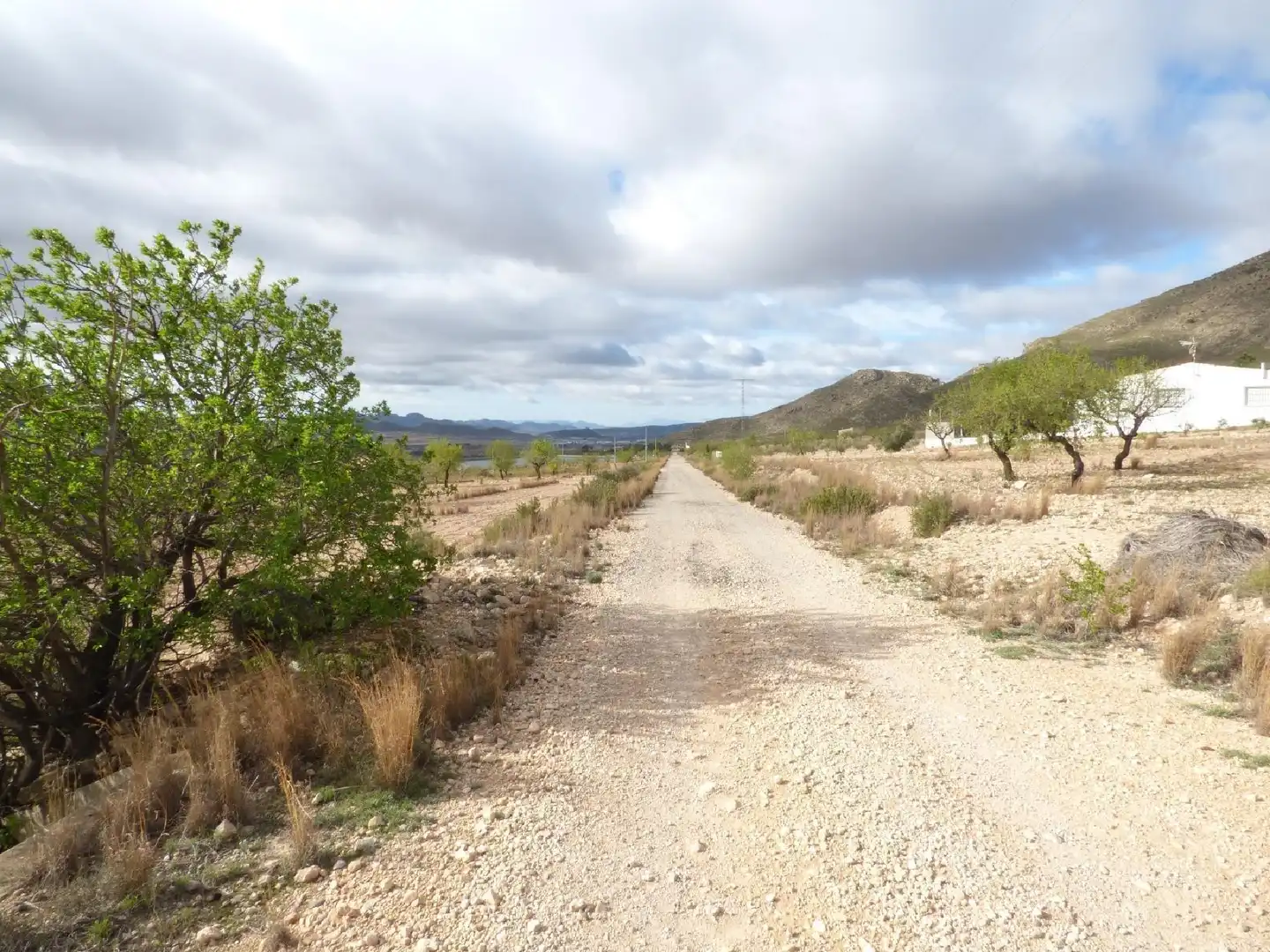Rustikales Grundstück zum Verkauf in Jumilla, imagen 19