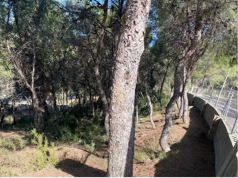 Residencial en venda en El Bosque  