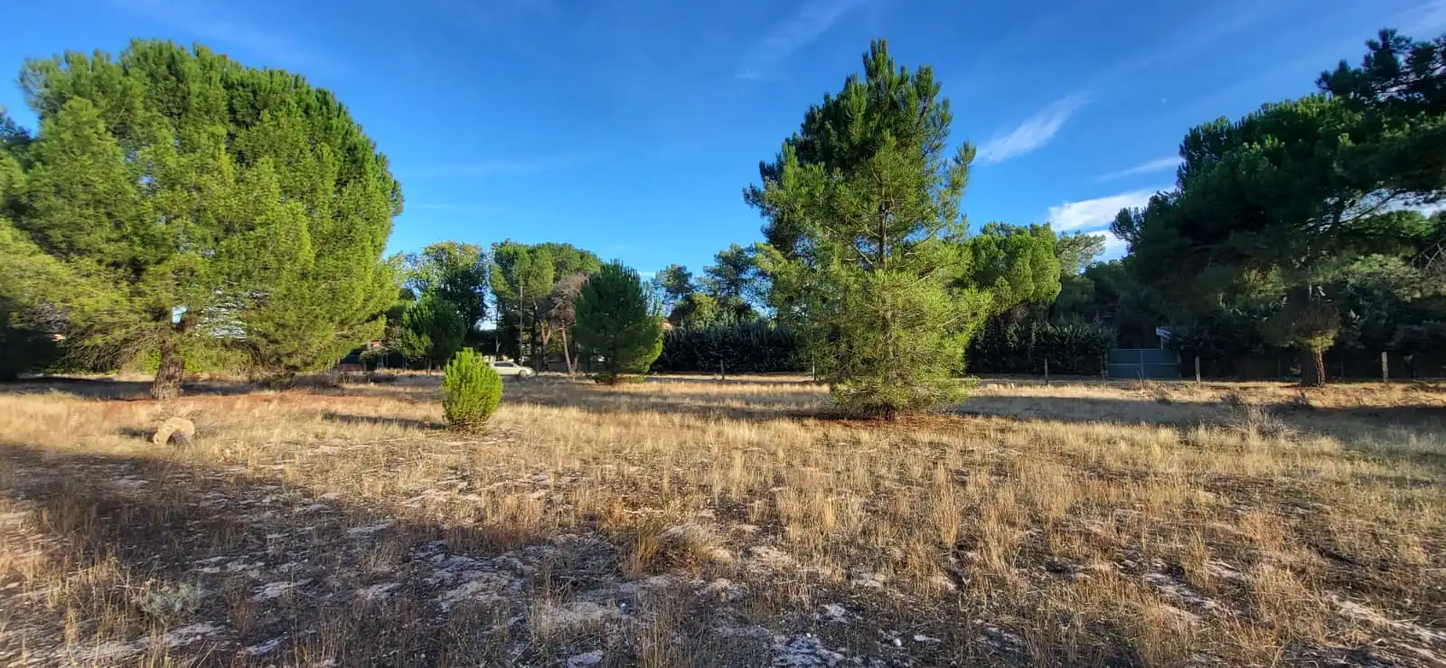 Terreno residenziale in vendita a Calle Santinos 8, imagen 8
