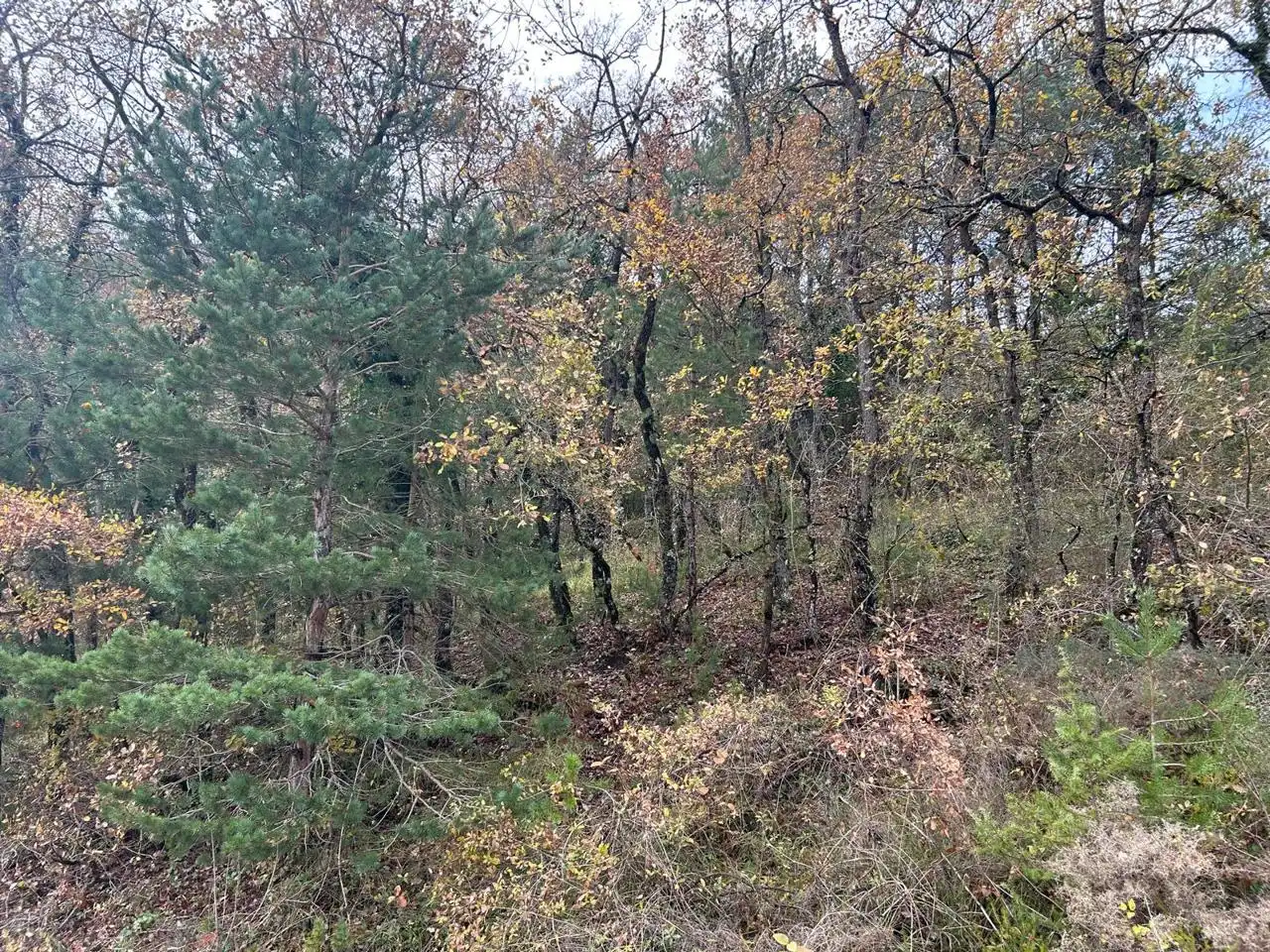 Land for sale in Kuartango