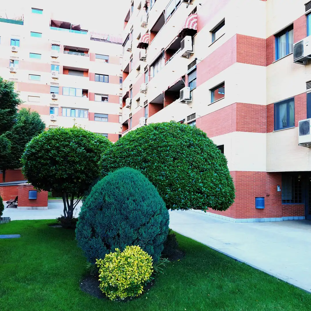 Vista exterior de Piso en venta en Madrid con Aire acondicionado, Calefacción y Jardín privado