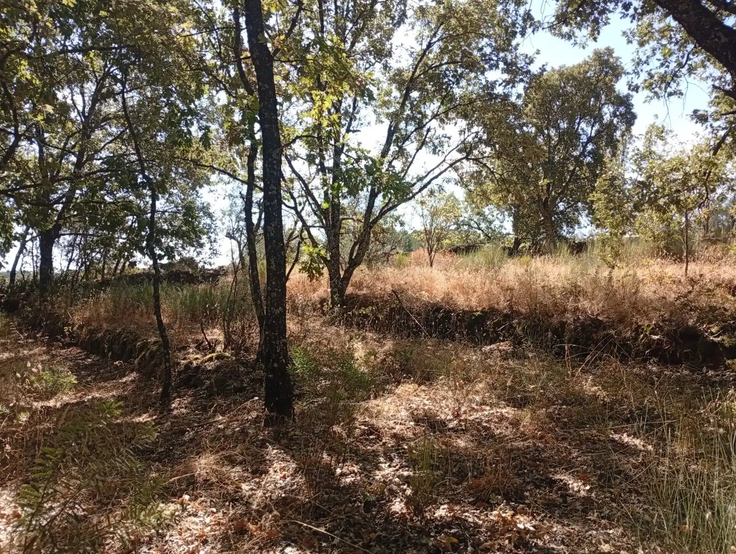 Terreni e lotti in vendita a Villanueva de la Vera, imagen 102