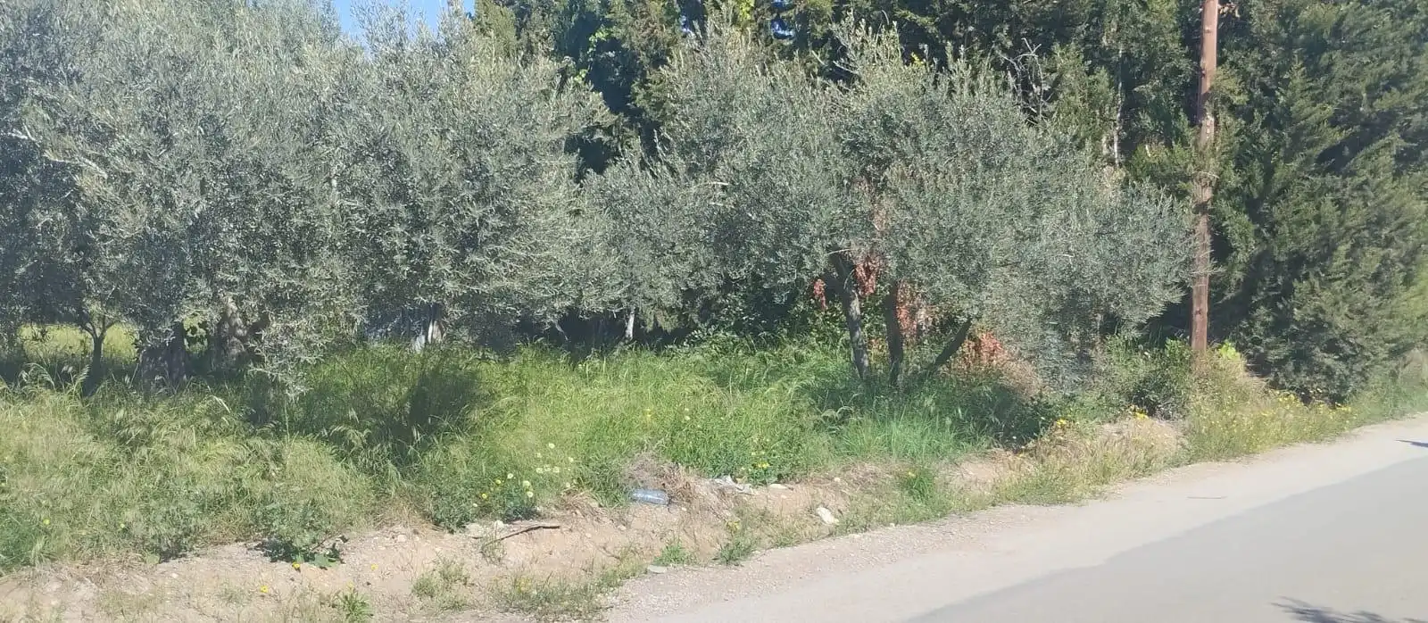 Terreno rustico in vendita a La Huerta, imagen 7