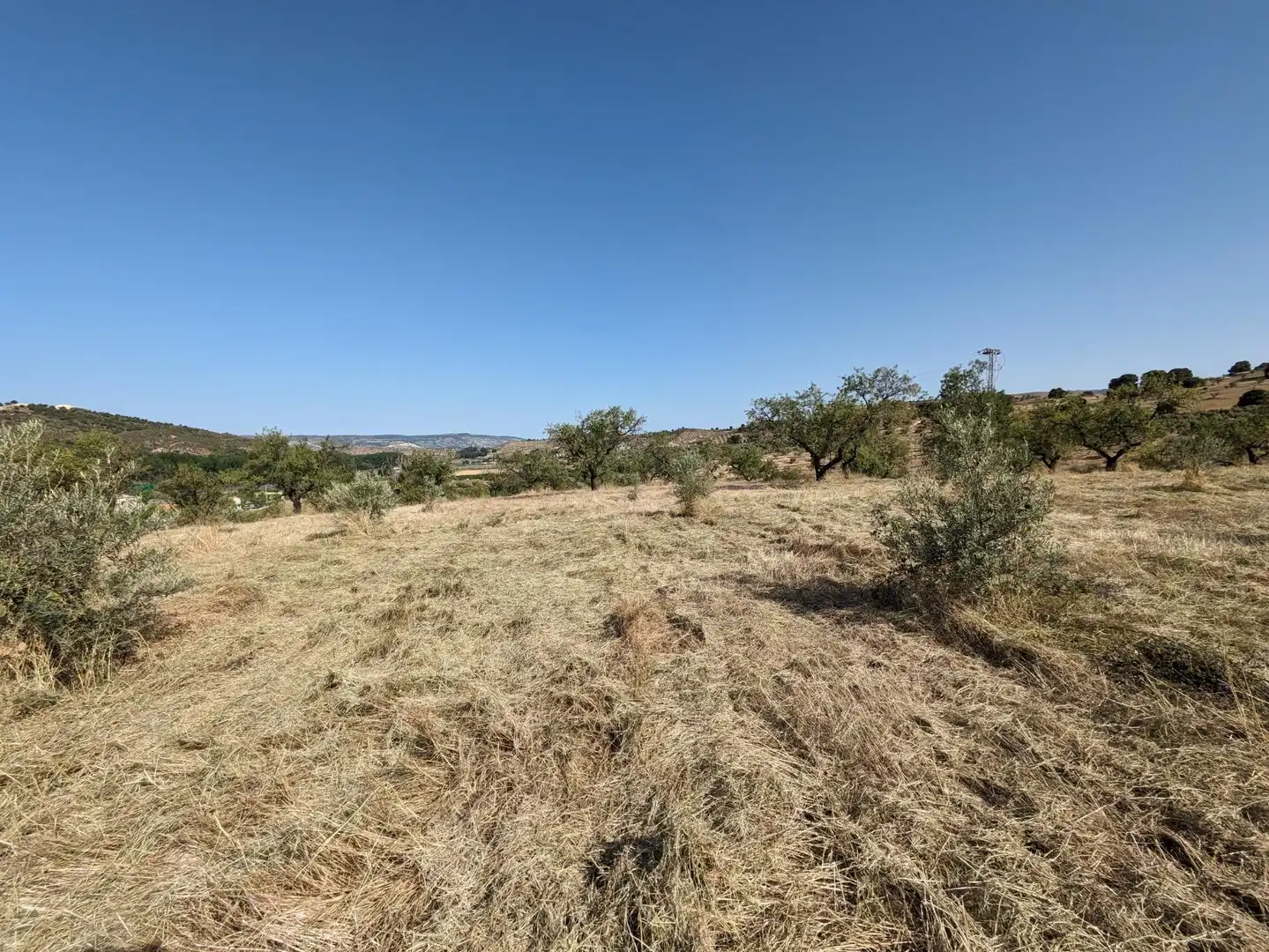 Residential land for sale in EXTRARRADIO, imagen 15