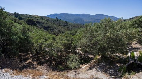 FINCAS RÚSTICAS EN Lanjarón  NATURALEZA, ACCESO EXCELENTE Y GRAN POTENCIAL, immagine 4