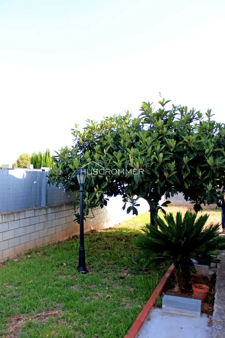 Casa o xalet en venda en Vila-real amb Terrassa i Piscina
