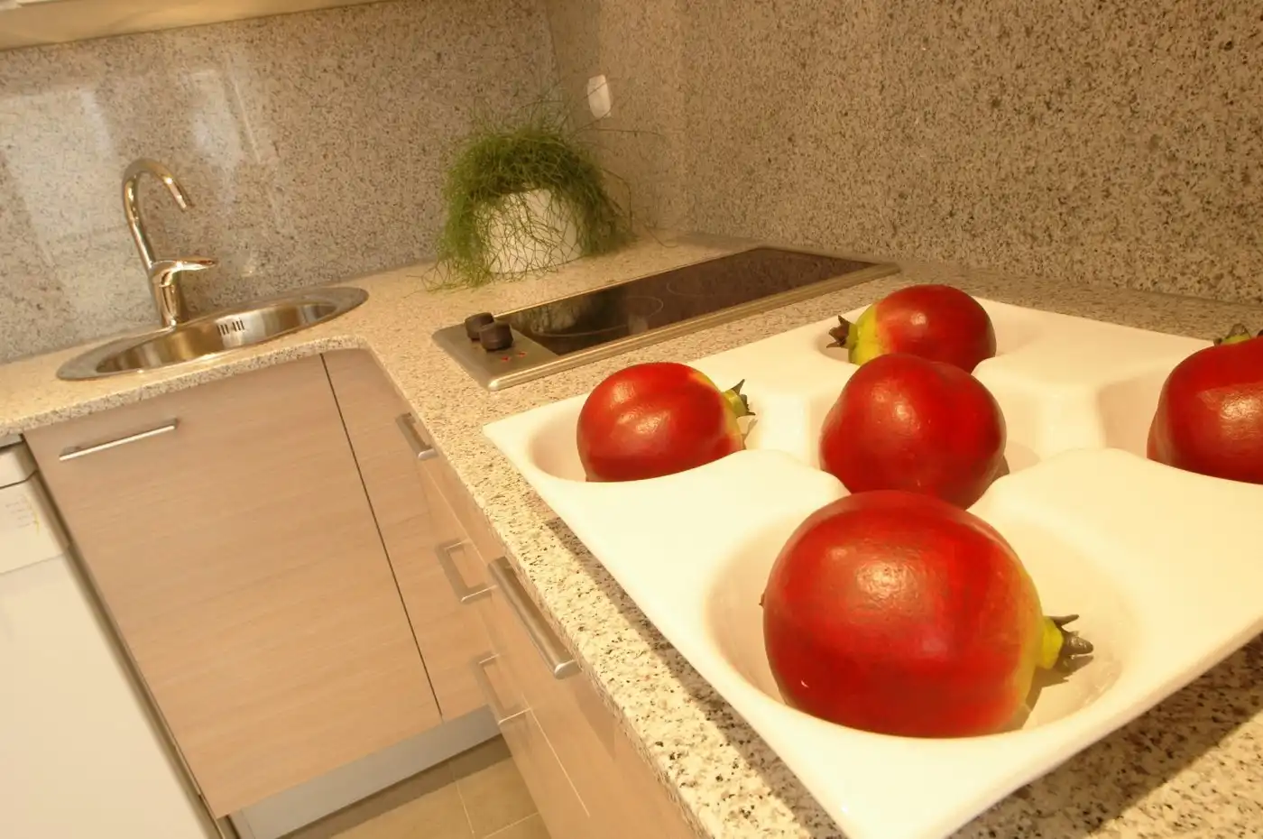 Cuina de Apartament de lloguer en Igualada amb Aire condicionat i Moblat