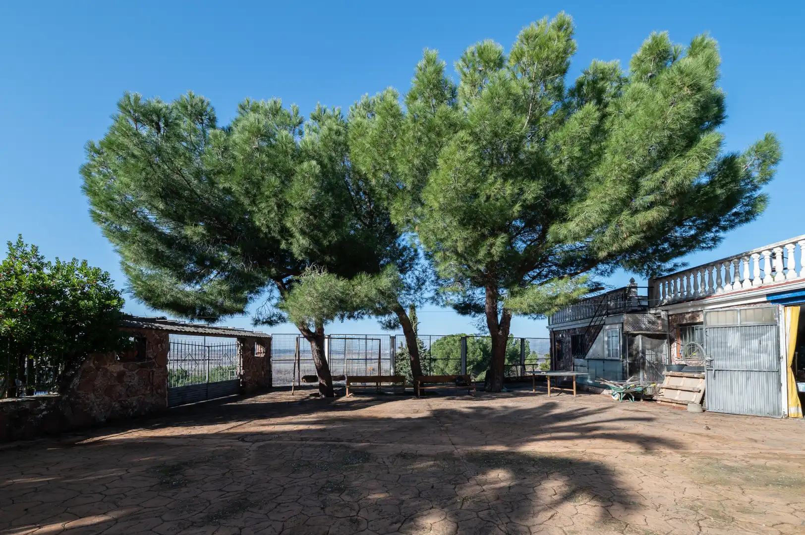 Garden of Houses for sale in Paracuellos de Jarama  with Heating, Private garden and Terrace