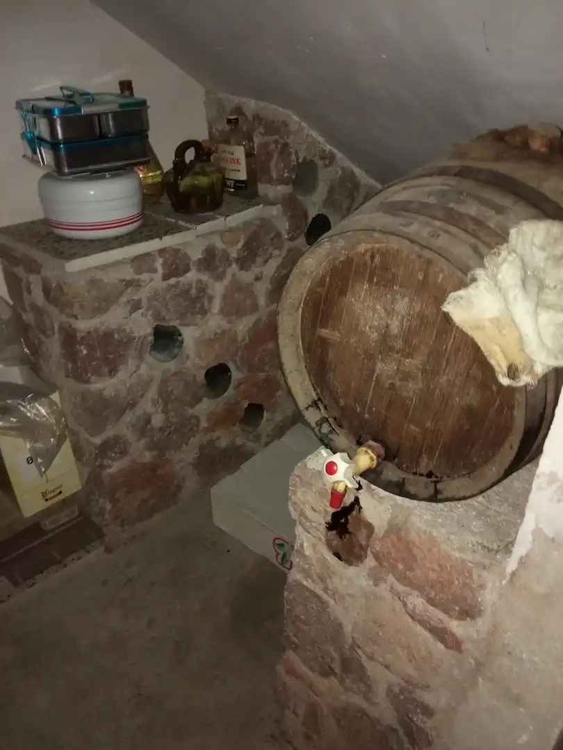 Casa adosada en venda en Sant Llorenç de Morunys amb Calefacció, Terrassa i Moblat