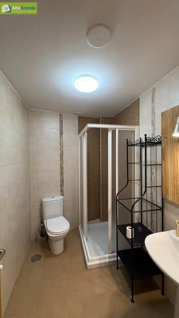 Bany de Apartament de lloguer en Aranda de Duero amb Calefacció i Moblat