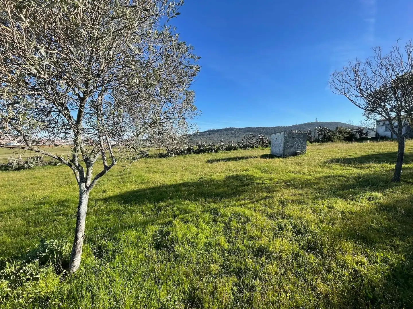 Haus mit Garten zum Verkauf in Ceres Golf, imagen 22
