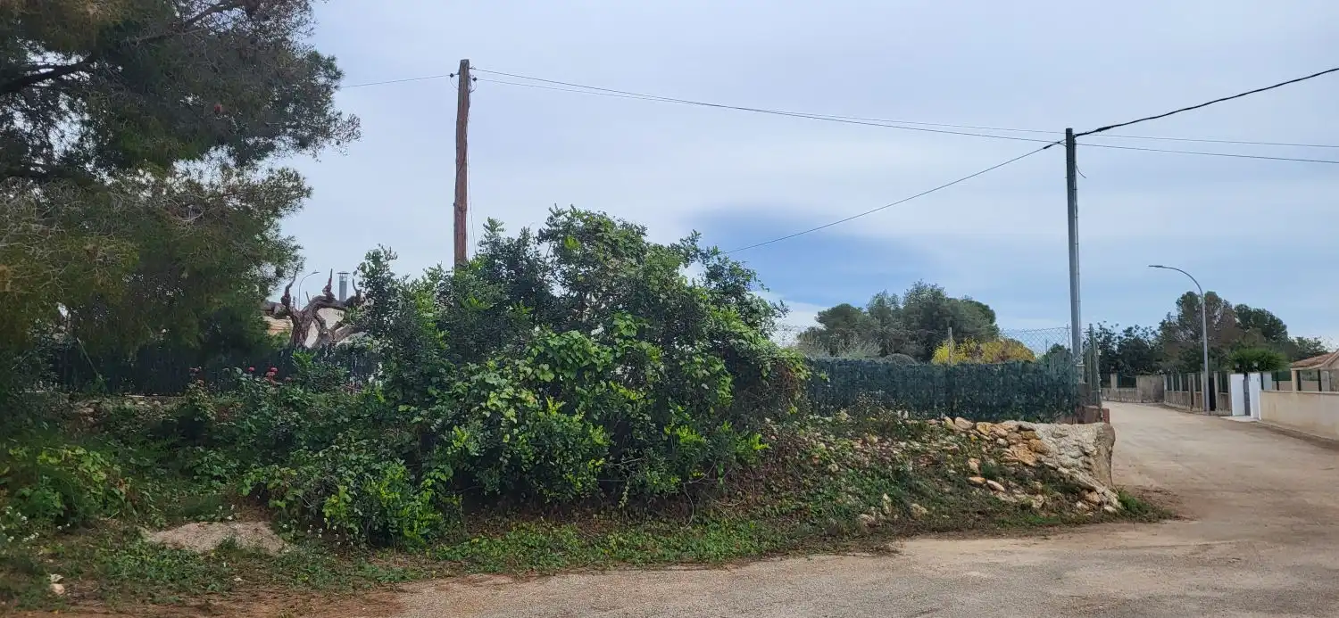Lands and plots for sale in Meligó, imagen 5